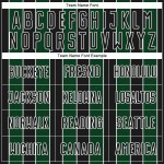 Uniform Green-White Line Black Jersey Soccer Sports Custom Sublimation Pinstripe