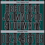 Line Black Sublimation Sports Jersey Soccer Green-Gray Pinstripe Uniform Midnight Custom