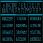 Soccer Jersey Pinstripe Sublimation Black Fashion Custom Teal Fade Uniform